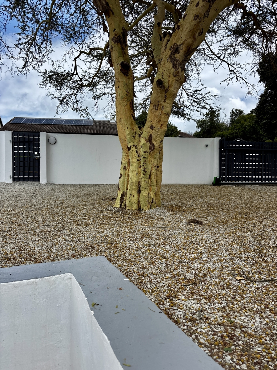 1 Bedroom Property for Sale in Plettenberg Bay Central Western Cape